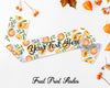 Theme Sash with Fruit Printed Designs
